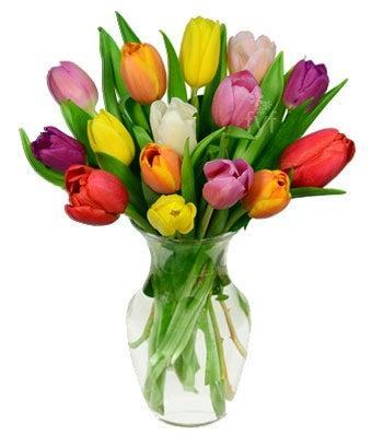 Rainbow Tulip Bouquet -15 Stems